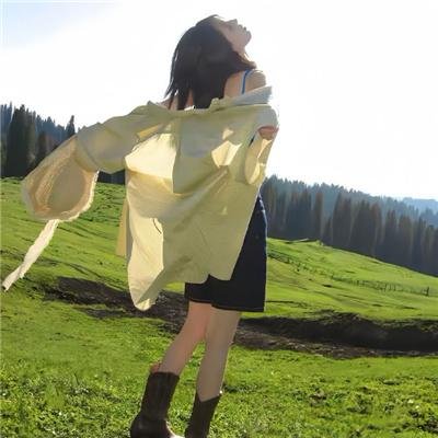 冲绳小芙蓉 海报