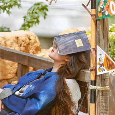 归家：碧昂斯电影作品 海报